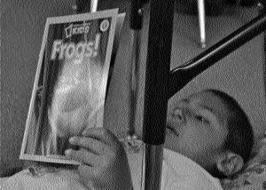 dario Dario finds the perfect place to read his new book!
